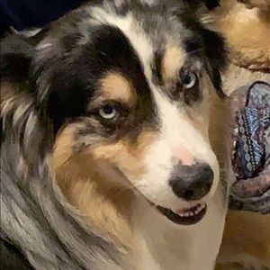 Meet your Posher, Jackaline